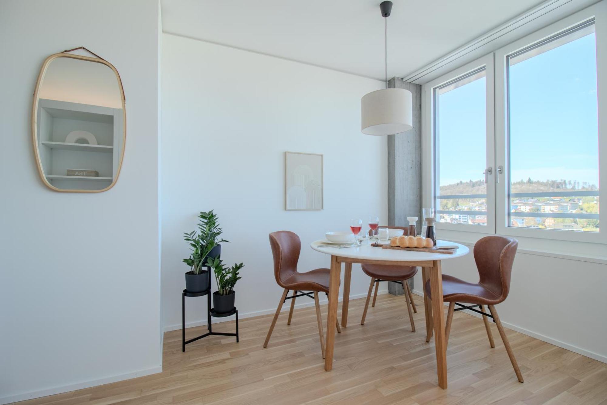 נויהאוזן אם ריינפל Loewe Apartments Am Rheinfall מראה חיצוני תמונה